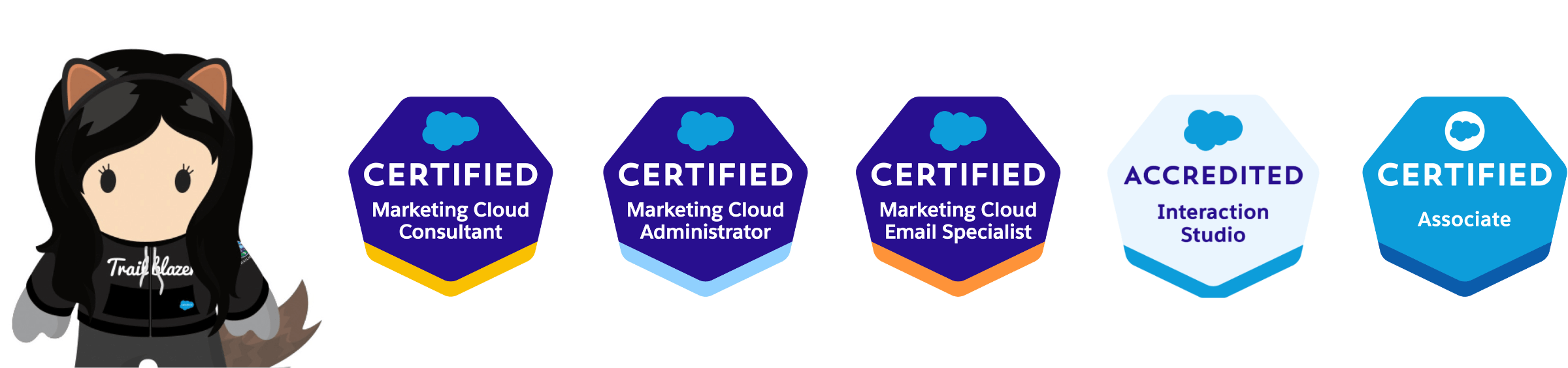 Salesforce badges